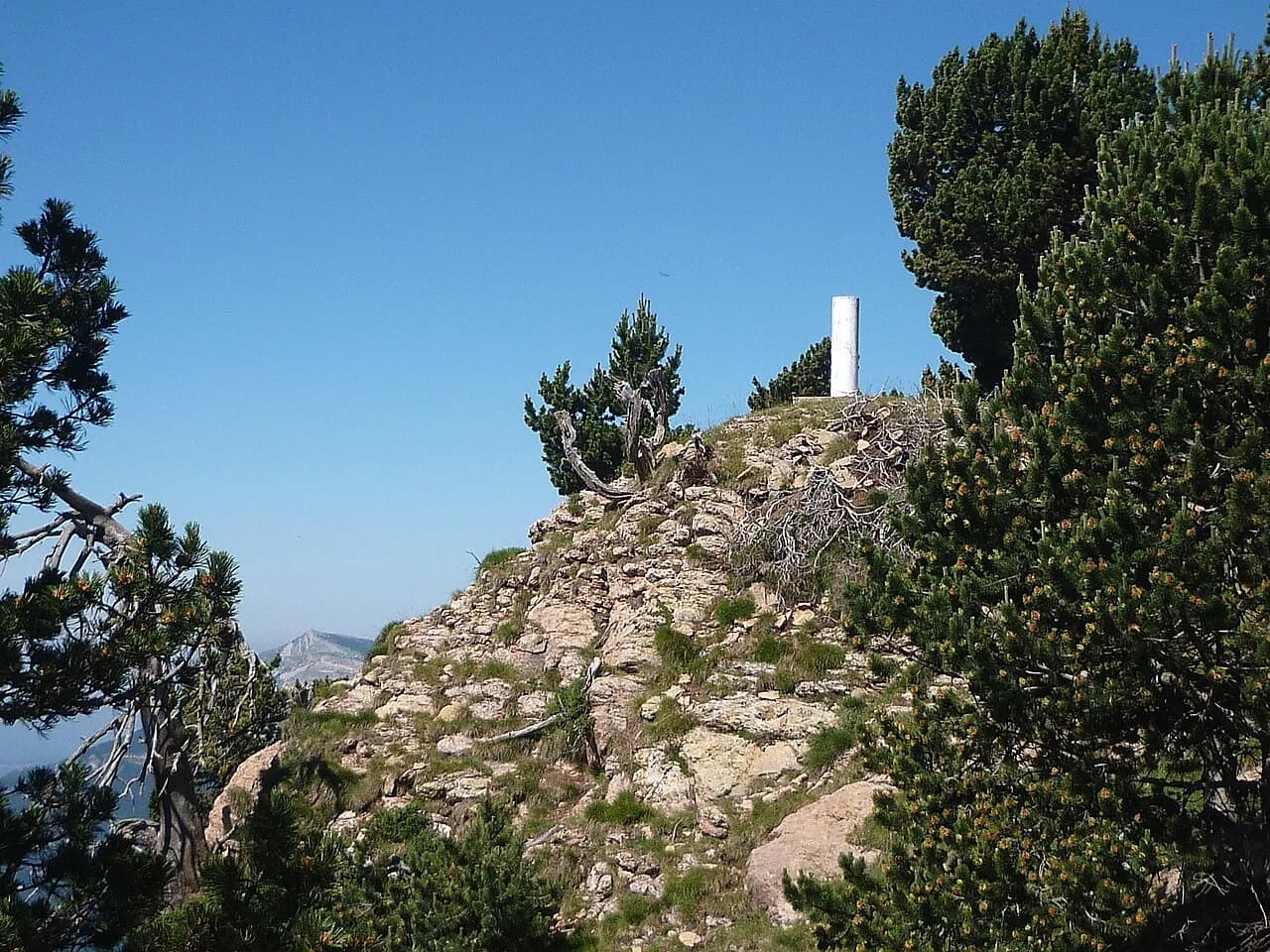 Isidre blanc (talk) - CAP D'URDET - IB-963