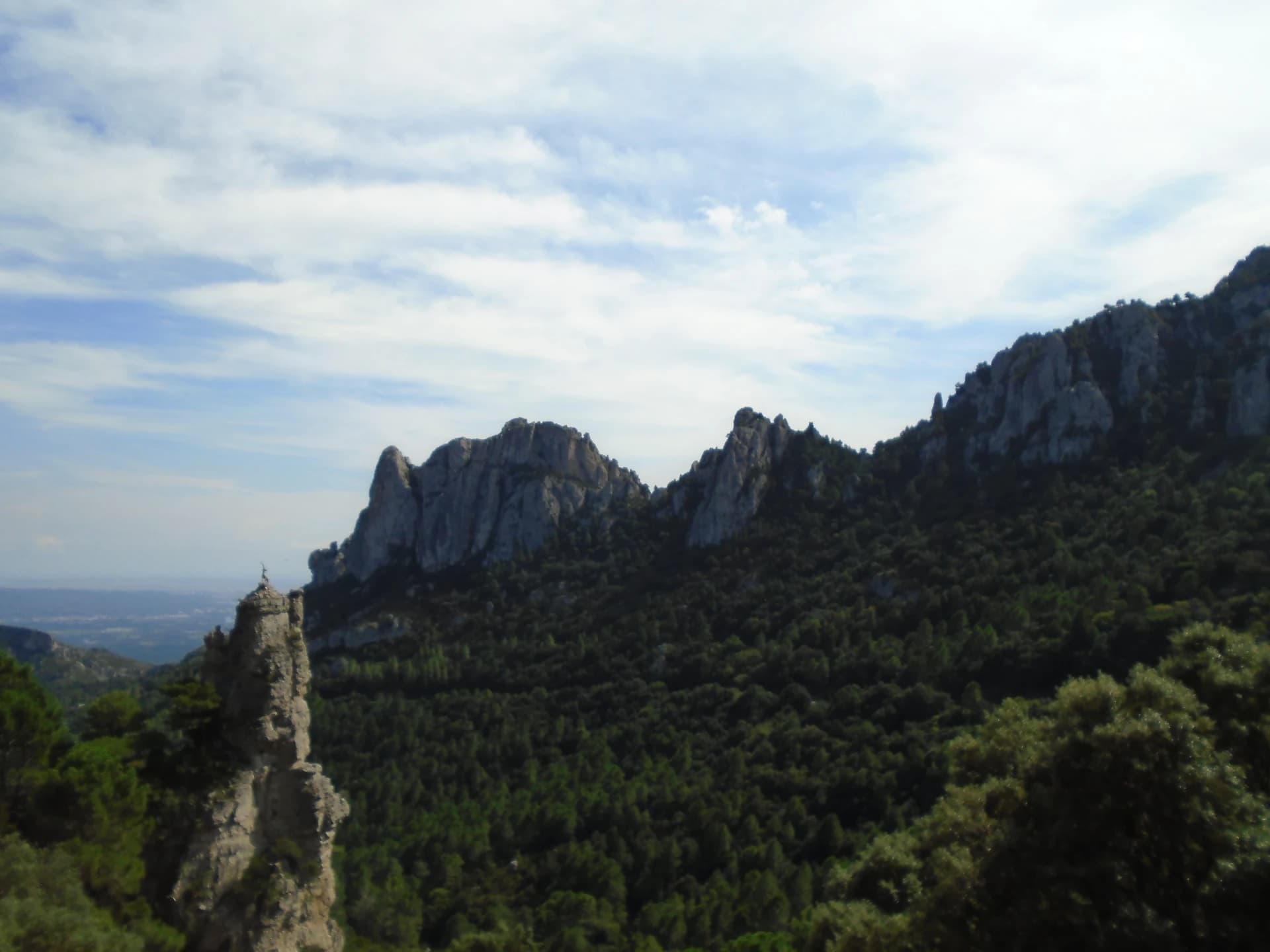 Jaumellecha - A l'esquerra es pot veure un monument d'una cabra