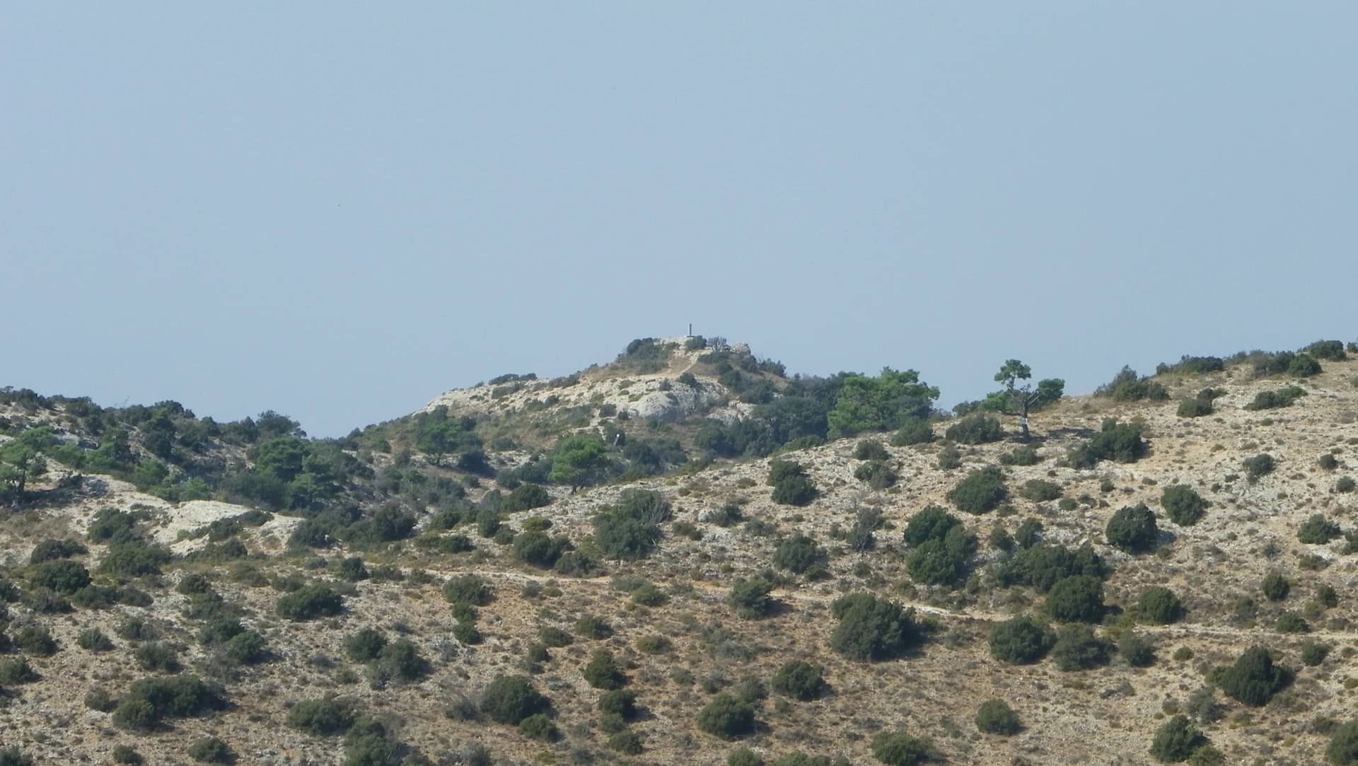 La Cogulla