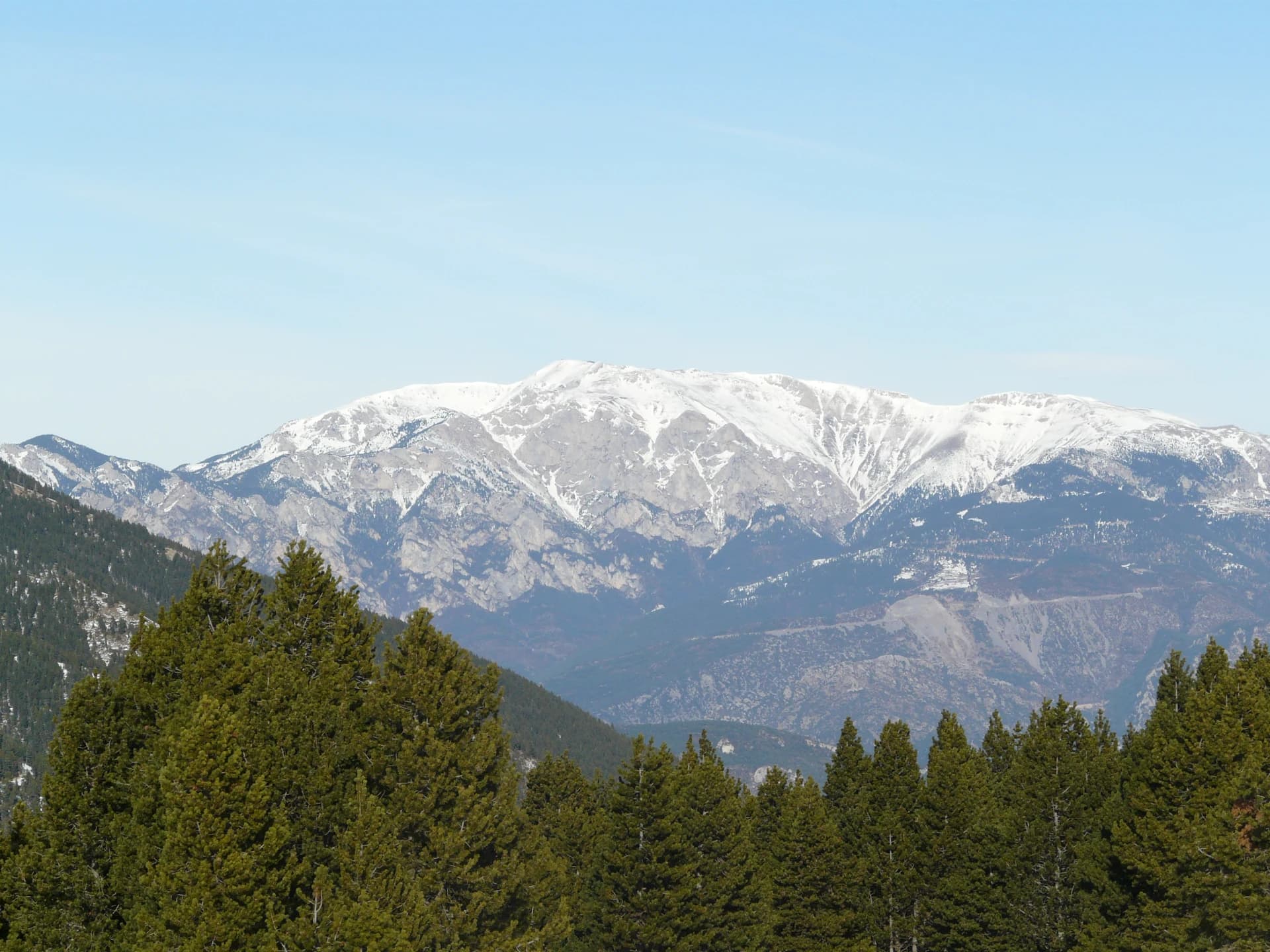 la Tosa