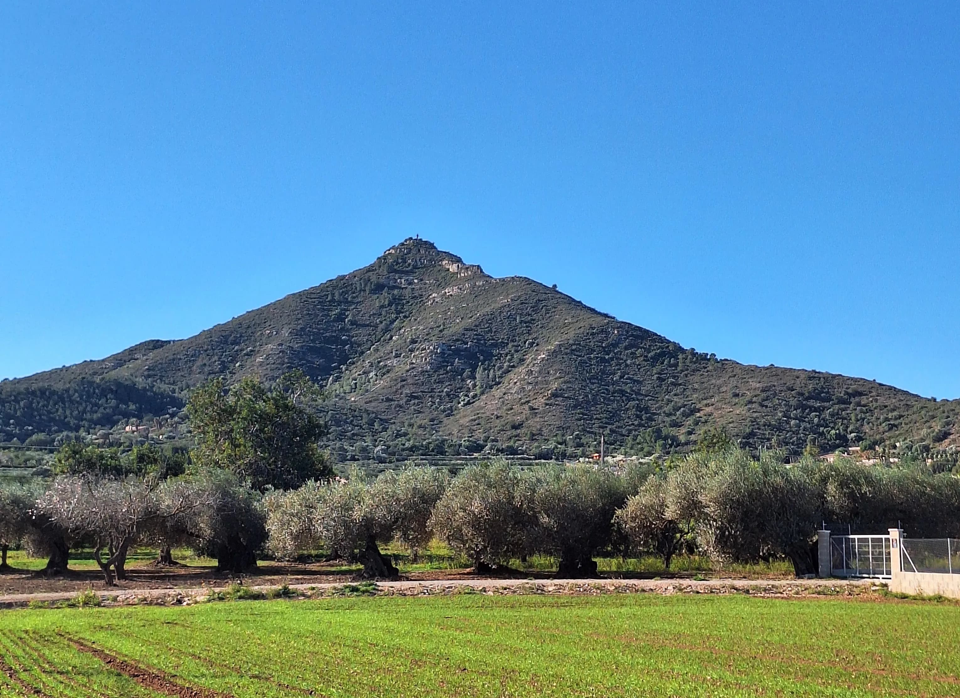 Montsianell