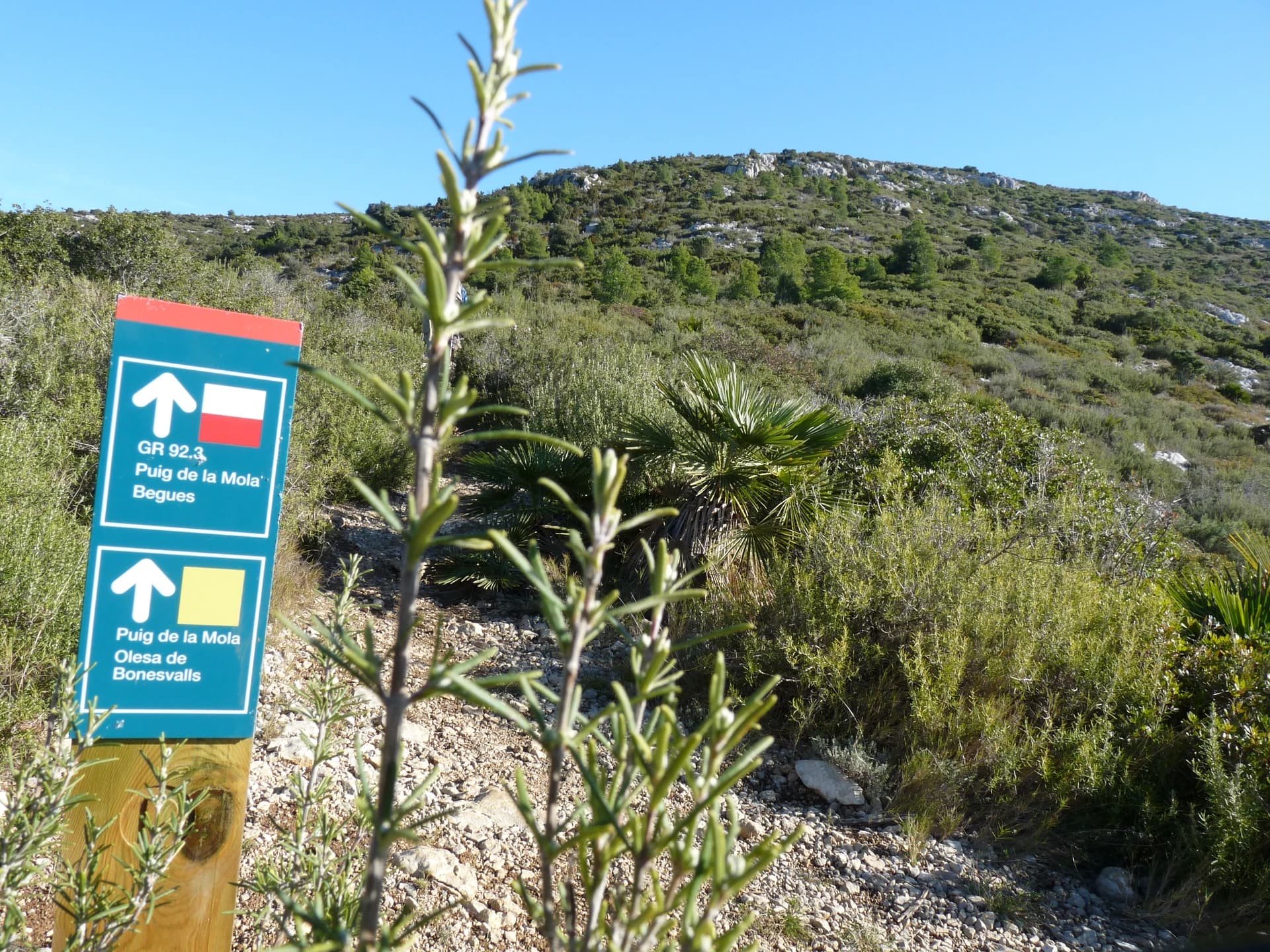 Puig de la Mola