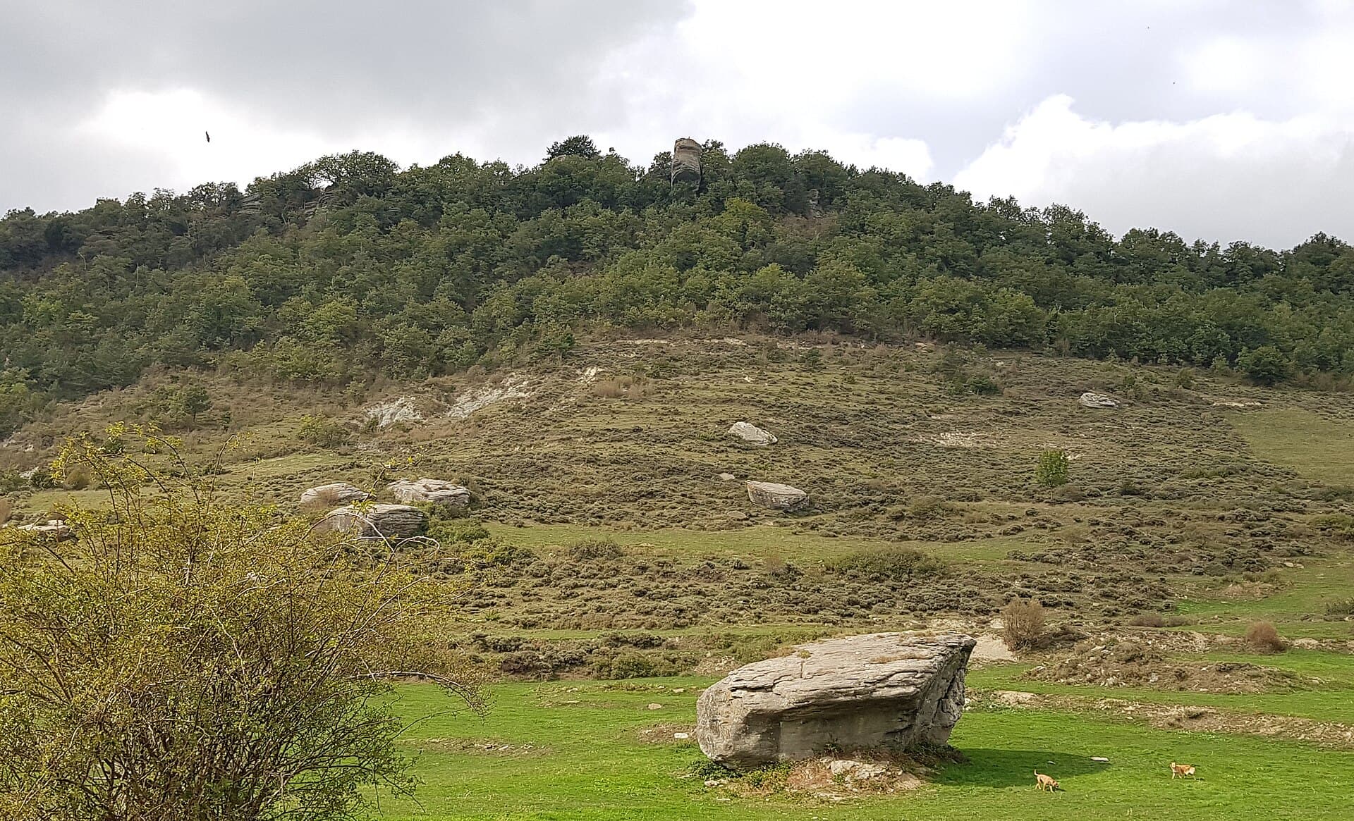 Neo Montclar - Rocallarga vist des de sota