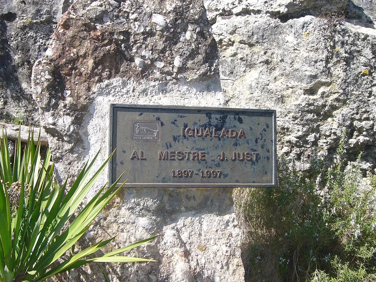 Tossa de Montbui