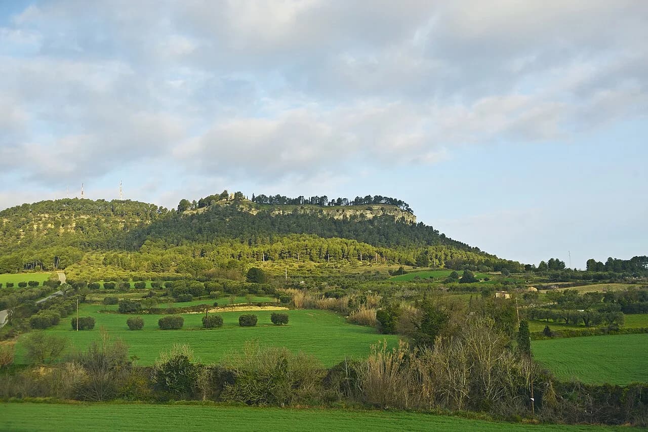 Alberto-g-rovi - Tossa de Montbui (1)
