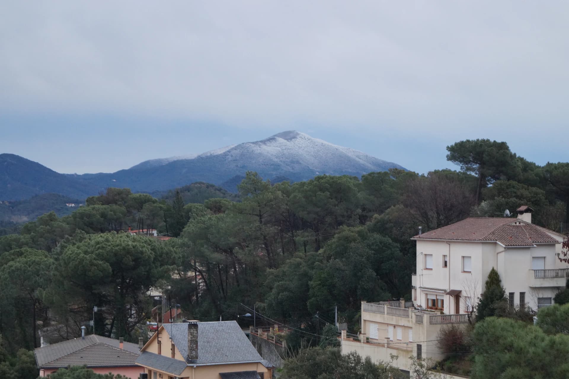Turó d'en Vives
