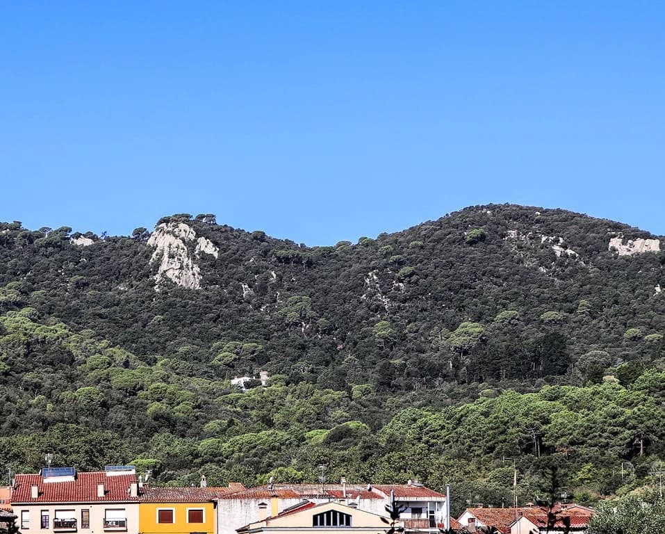 Turó de Céllecs