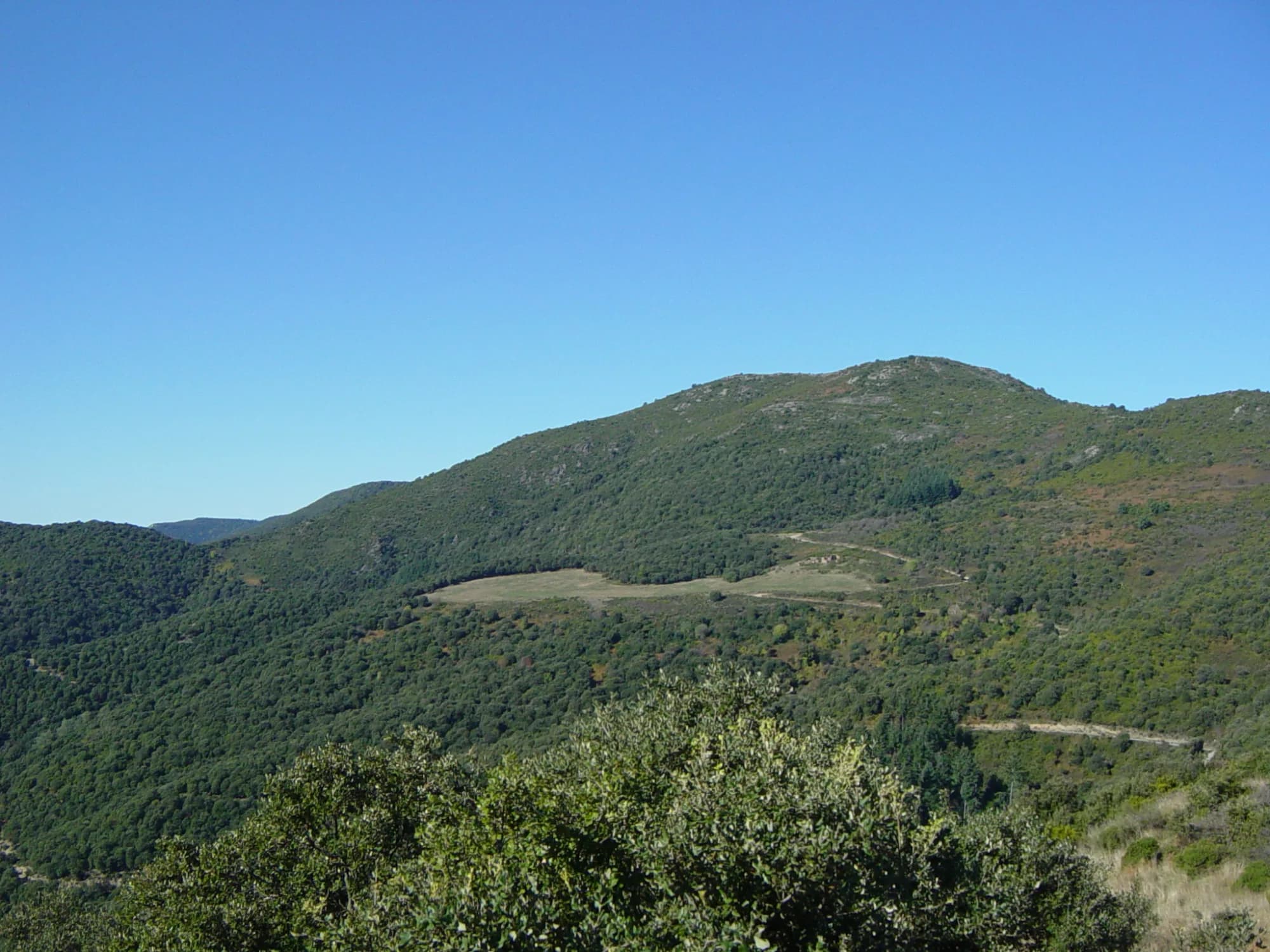 Turó del Samont